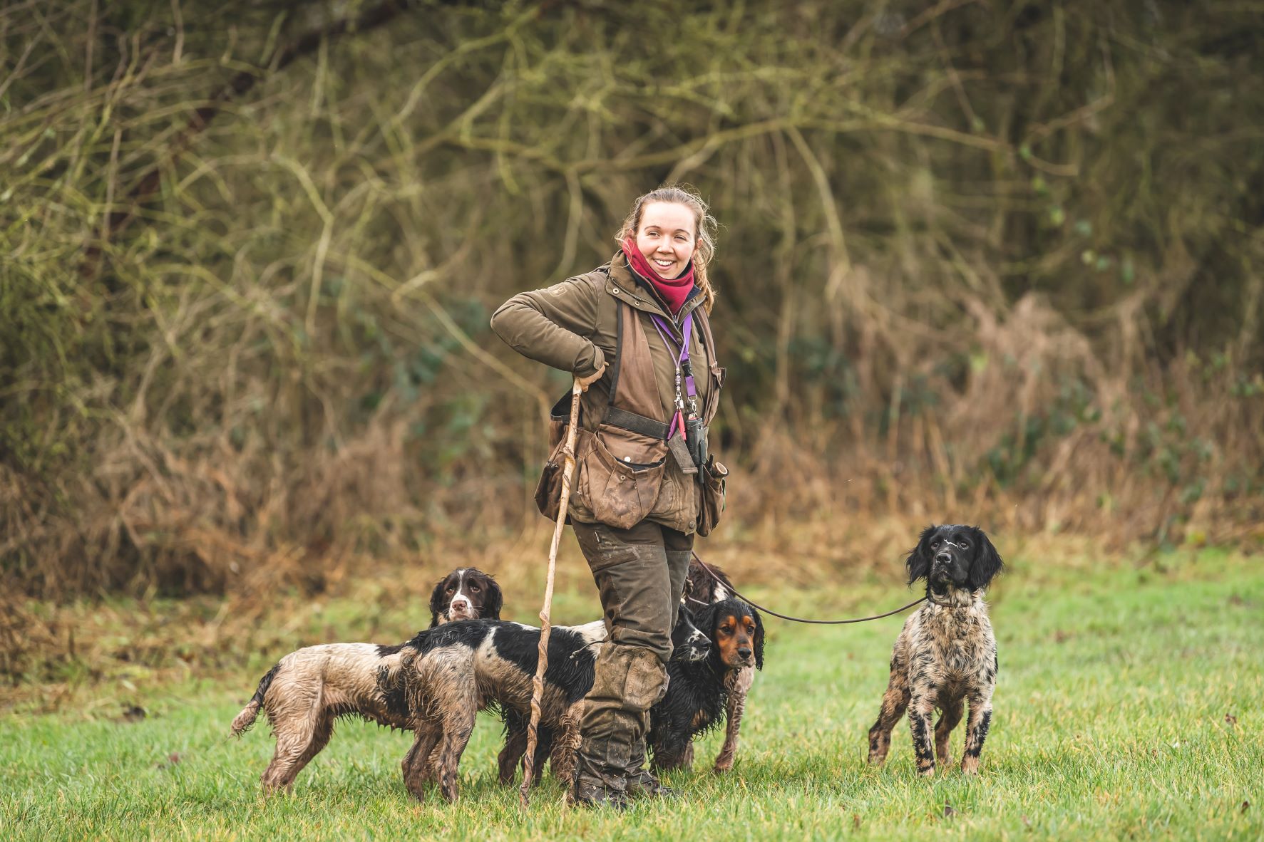 woman in tweed in grassy field surrounded by gundogs - mostly spaniels